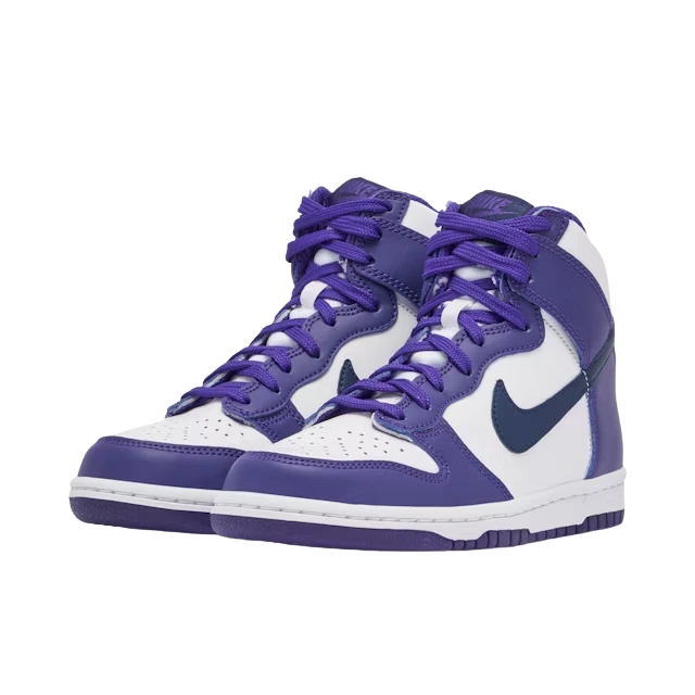 Nike Dunk High Electro Purple Midnight GS